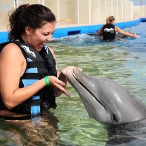 Meet your Posher, Mara